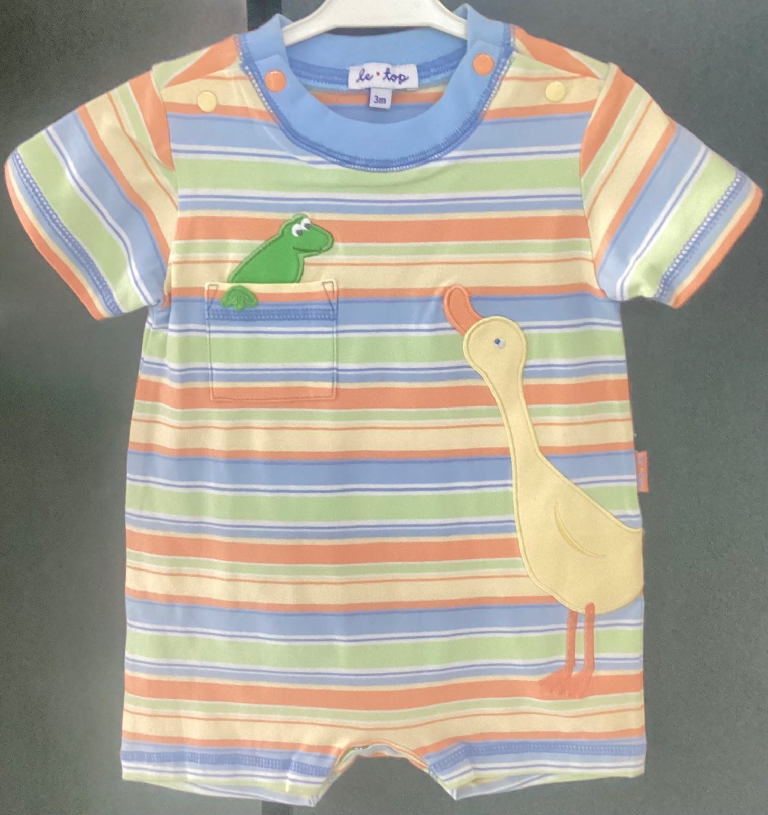 bodie para Niño en Puebla