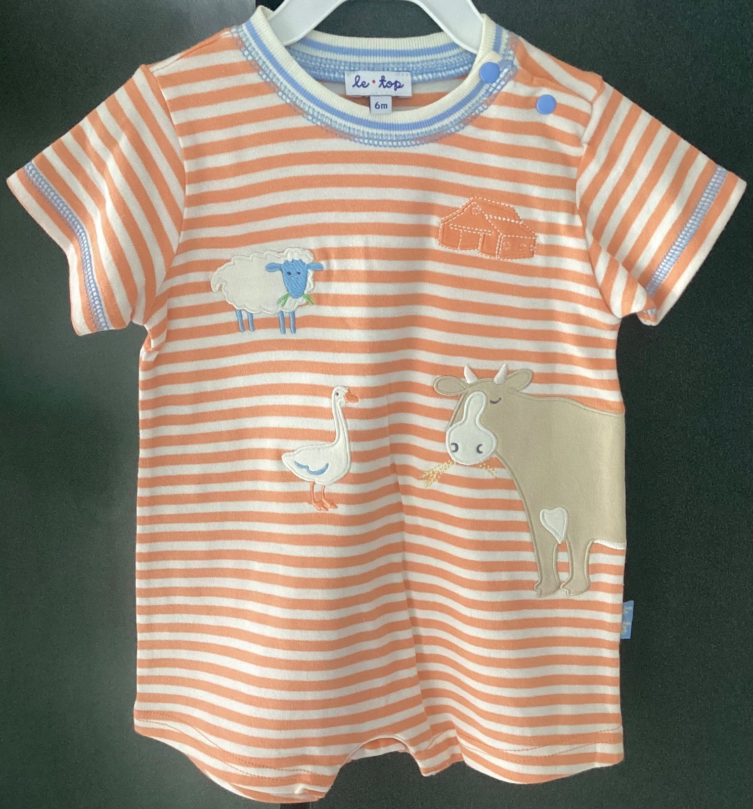 bodie para Niño en Puebla